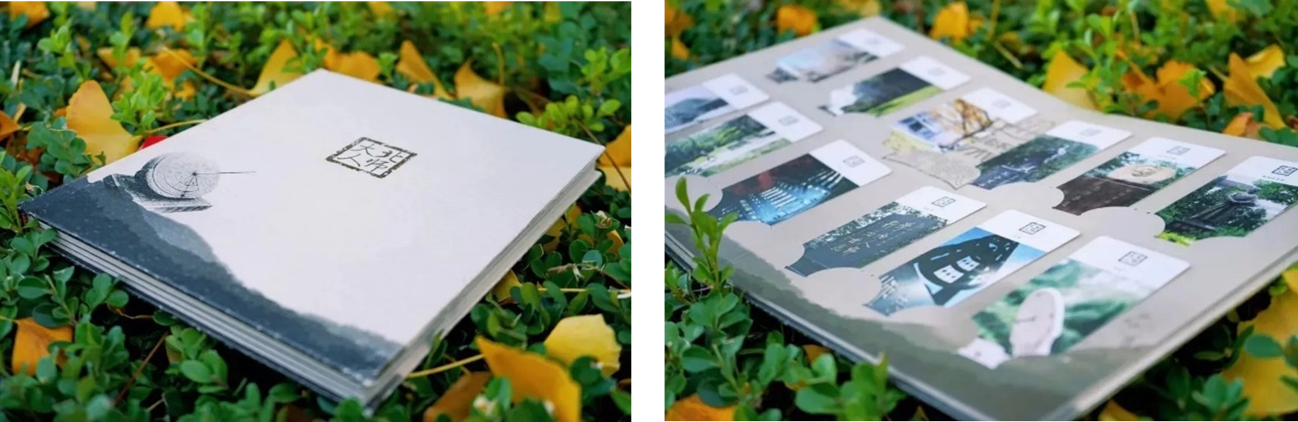 bet365在线体育投注