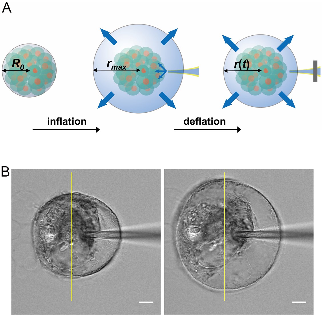 bet365在线体育投注